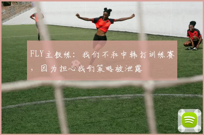 FLY主教练：我们不和中韩打训练赛，因为担心我们策略被泄露