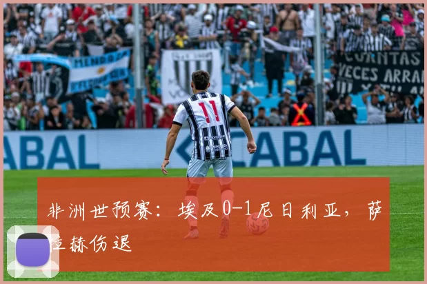 非洲世预赛：埃及0-1尼日利亚，萨拉赫伤退