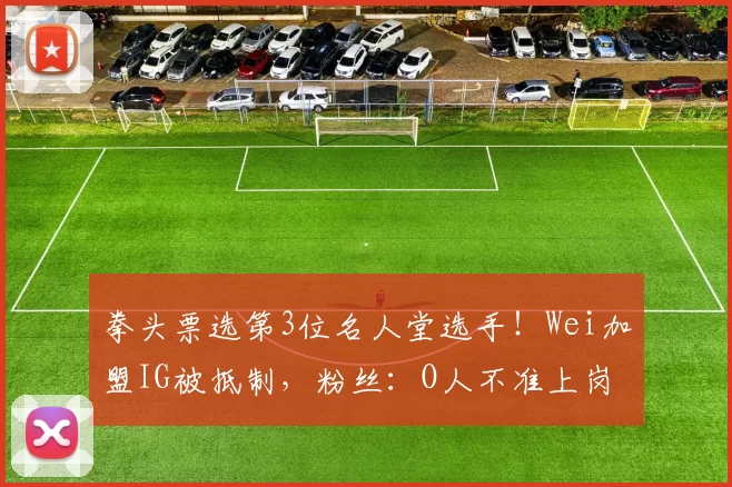 拳头票选第3位名人堂选手！Wei加盟IG被抵制，粉丝：O人不准上岗