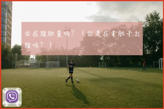 你在赌胆量吗？（你是在拿胆子打赌吗？）