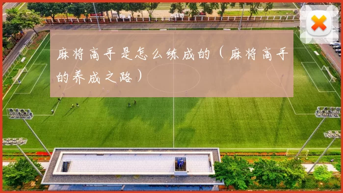 麻将高手是怎么练成的（麻将高手的养成之路）