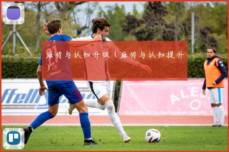 麻将与认知升级（麻将与认知提升）