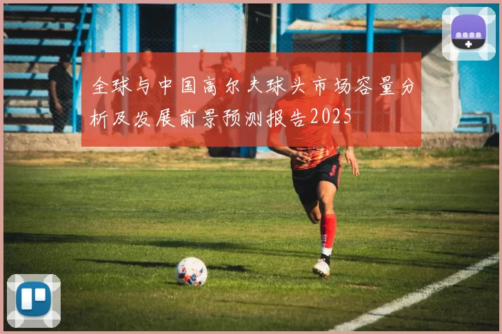 全球与中国高尔夫球头市场容量分析及发展前景预测报告2025