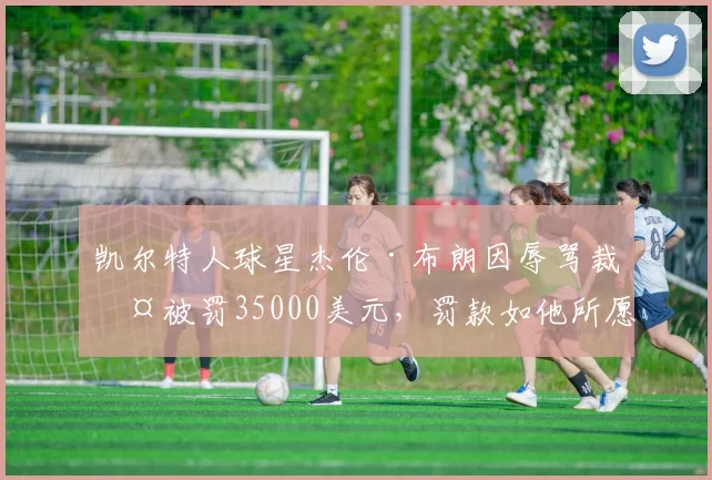 凯尔特人球星杰伦·布朗因辱骂裁判被罚35000美元，罚款如他所愿