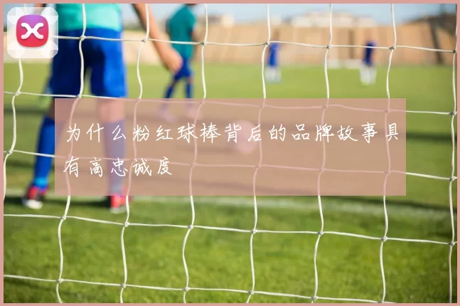 为什么粉红球棒背后的品牌故事具有高忠诚度